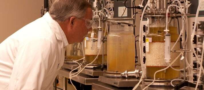SuccessStory_900x400_fujirebio3.jpg