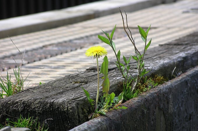 Fünf Wege zur Stärkung Ihrer schwächsten Glieder durch Aufbau operativer Resilienz