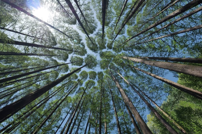 Wenn man in der Produktion den Wald vor lauter Bäumen nicht sieht...