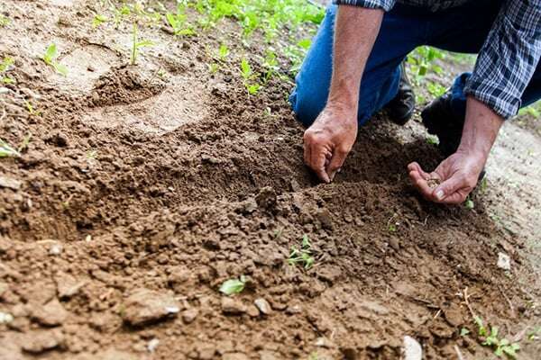 3 façons d'améliorer l'efficacité agricole grâce à la Transformation Numérique